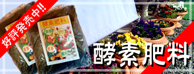 酵素肥料